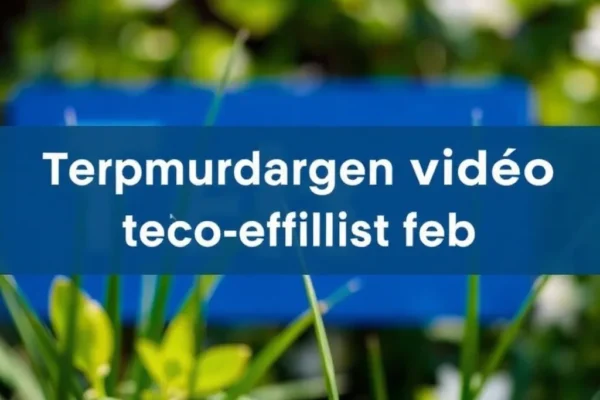 Comment telecharger video fb facilement et rapidement