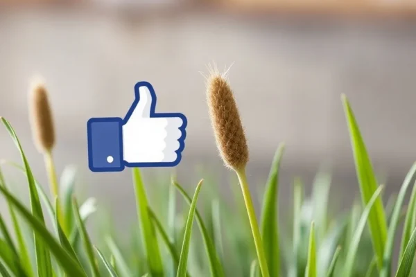 Comment telecharger video du facebook facilement et rapidement